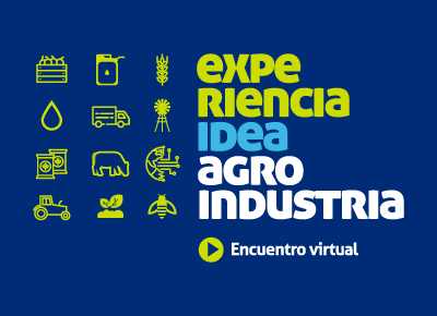 Edición 2020